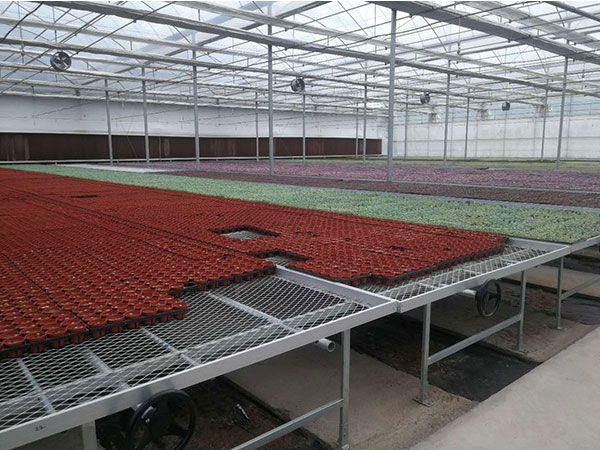 菱形苗床網(wǎng)案例展示